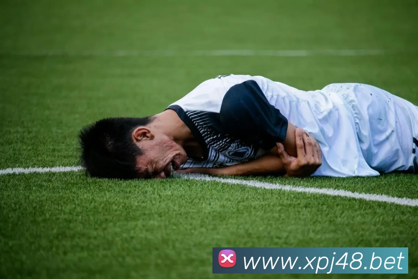 赛事专题整合